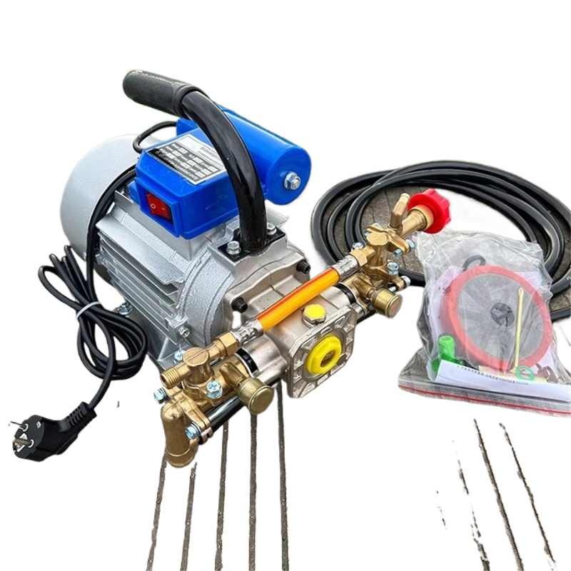 1100W 220V Four-Stroke Dual Cy - Electric Sprayer Backpack 评论和价格