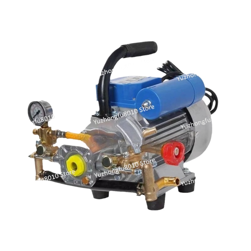 1100W 220V Four-Stroke Dual Cy - Electric Sprayer Backpack 评论和价格